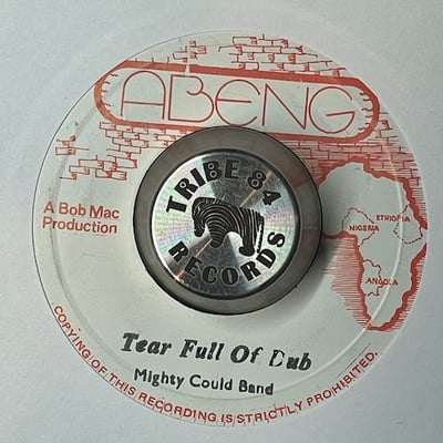 Delroy Melody - Tears picture 2
