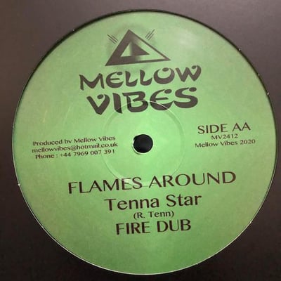 Junior Roy, Tenna Star - Want To Go/ Flames Around picture 2