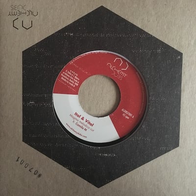 Ital & Vital, Camila M, Ital & Vital - Magma Melodica Cut picture 4