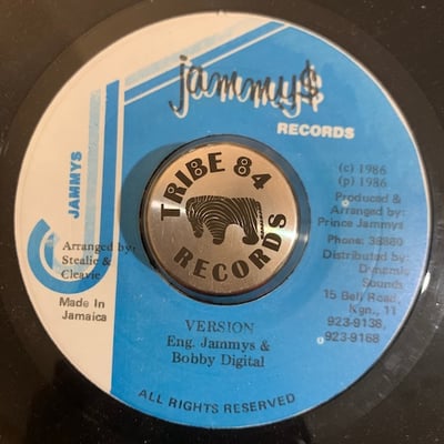 Echo Minott - Me And Me Girl Gone Back picture 2