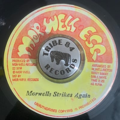 The Morwells - Cold Cold World picture 2