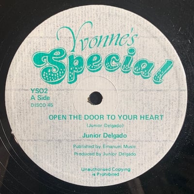 Junior Delgado - Open The Door To Your Heart picture 2