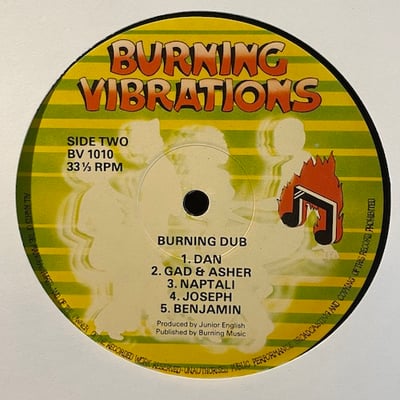 The Revolutionaries - Burning Dub picture 3