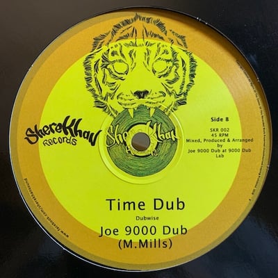 Joe 9000 Dub - Bongo Dub picture 2