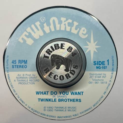 Twinkle Brothers – What Do You Want