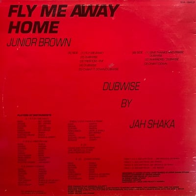 Junior Brown - Fly Me Away Home picture 2