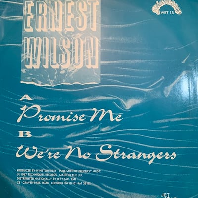 Ernest Wilson - Promise Me picture 2