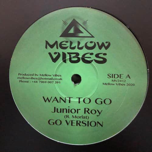 Junior Roy, Tenna Star – Want To Go/ Flames Around