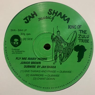 Junior Brown - Fly Me Away Home picture 3