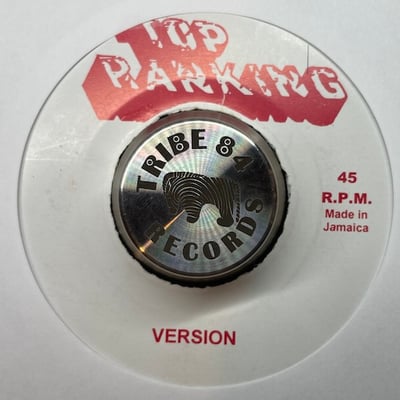 Israel Vibration - The Same Song picture 2