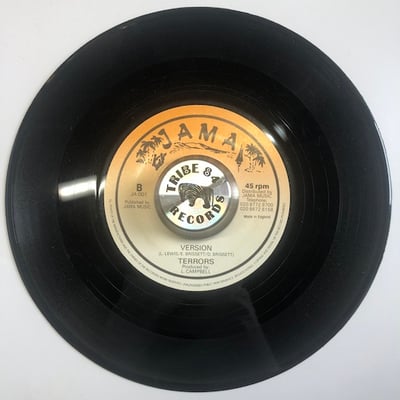 The Terrors - Don't Bother Me picture 4