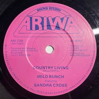 The Wild Bunch, Sandra Cross – Country Living