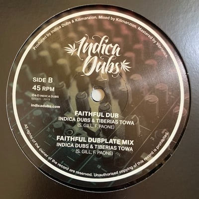 Dan Man, Indica Dubs, Habesha, Tiberias Towa - Hold I Down / Faithful Dub picture 2