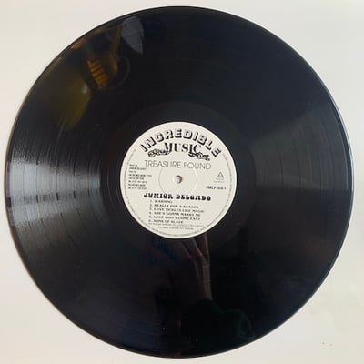 Junior Delgado - Treasure Found picture 3