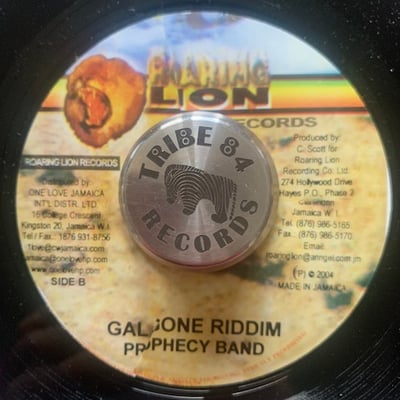 Richie Stephens - Caan Tek Mi Girl picture 2