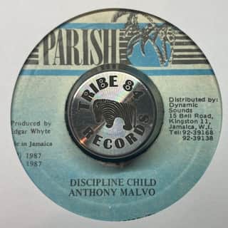 Anthony Malvo – Discipline Child