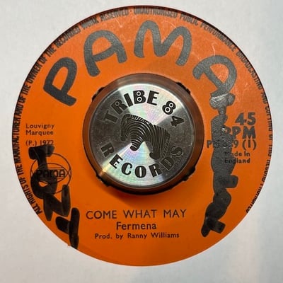 Fermena Edwards - Come What May picture 2