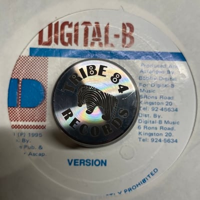 Cocoa Tea, Shabba Ranks - Flag Flown High picture 2