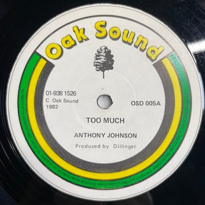 Anthony Johnson, Welton Irie - Too Much / How You Keep A Dance picture 2