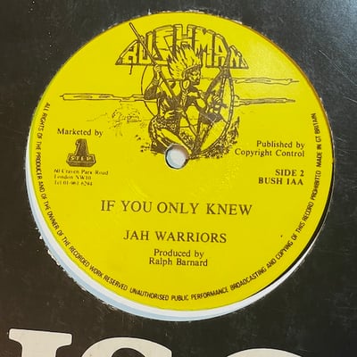 Jah Warriors - Can't Take No More picture 2