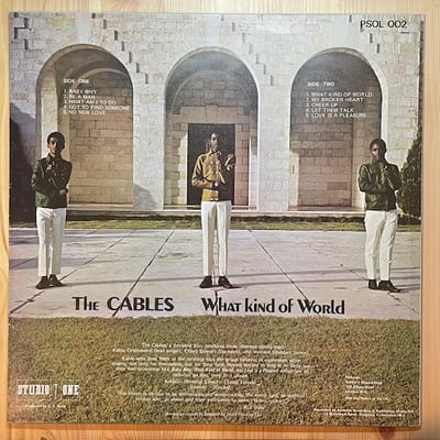 The Cables - What Kind Of World picture 2