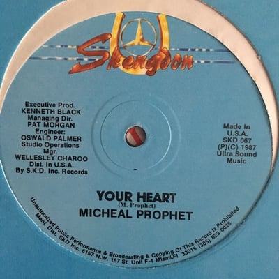 Michael Prophet - Your Heart picture 2