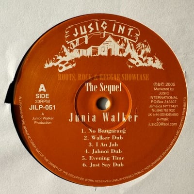 Junia Walker - Roots, Rock & Reggae Showcase - The Sequel picture 3