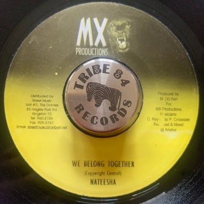 Turbulence, Nateesha - Girl Over Gun / We Belong Together picture 2