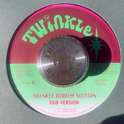 Twinkle Brothers - Who Is The Terrorist picture 2