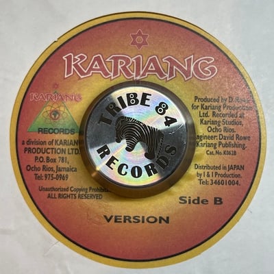 Sizzla - Healing Of The Nation picture 2
