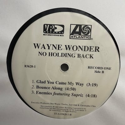 Wayne Wonder - No Holding Back picture 4