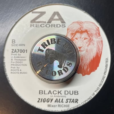 Ziggy Anderson - Black People picture 2