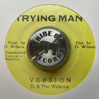 Delroy Wilson - Everything Raised picture 2