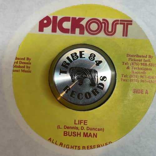 Bushman – Life