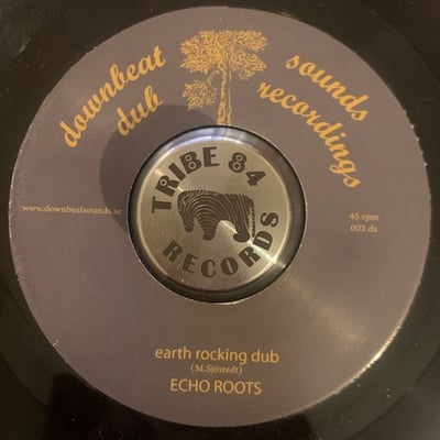Echo Roots - Earth Rocking picture 2