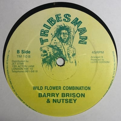 Barry Bryson - Wild Flower picture 2