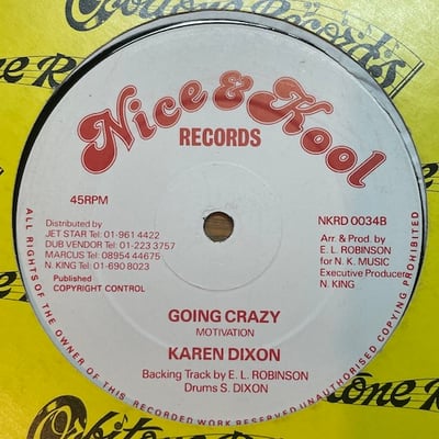 Karen Dixon - Crazy Days picture 2