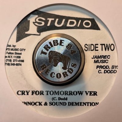 Donna V - Cry For Tomorrow picture 2