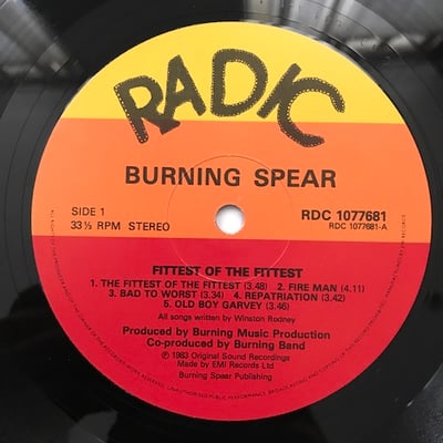 Burning Spear - The Fittest Of The Fittest picture 5