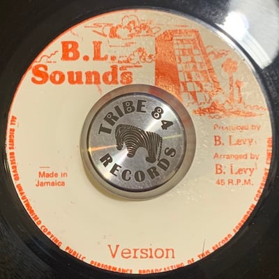 Barrington Levy - Deep In The Dark picture 2