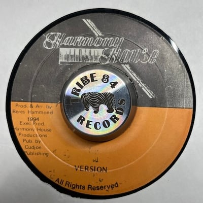 Beres Hammond - Checking Out picture 2