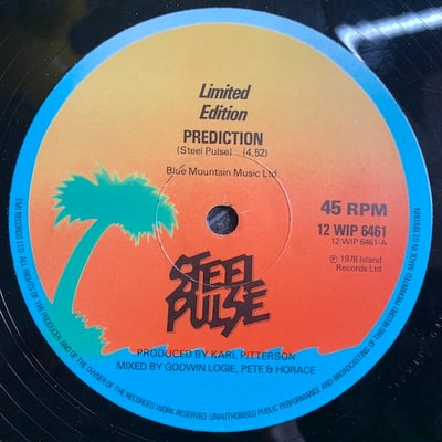 Steel Pulse - Prediction picture 4