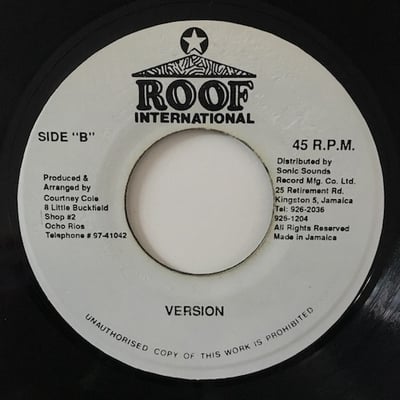 Capleton - Mi No Like Dem picture 2
