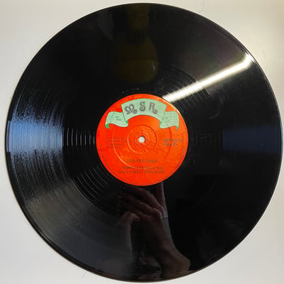 Prince Lincoln Thompson, Mighty Soul Rebels - I Man Feel It picture 4