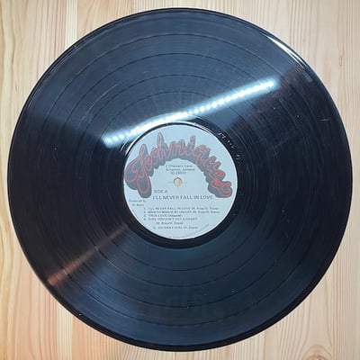 The Techniques - I'll Never Fall In Love picture 3