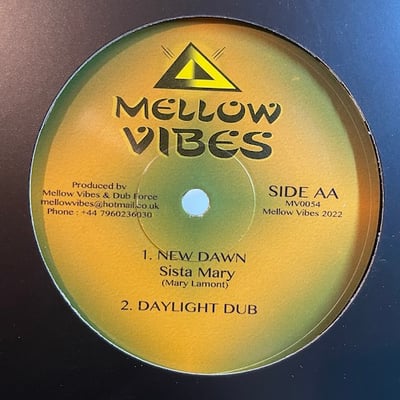 Ras Bigga D/ Sista Mary - Fire Pon Rome/ New Dawn picture 2