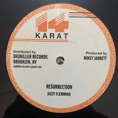 Mikey Jarrett, Dizzy Flemming - Starvation / Resurrection picture 2