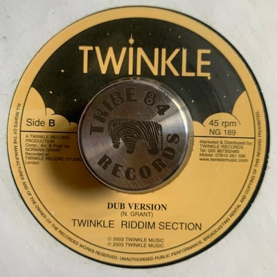 Twinkle Brothers - One God picture 2