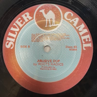 Diana, The Roots Radics - Use Me / Abusive Dub picture 2