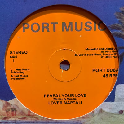 Raymond Naptali - Reveal Your Love picture 2
